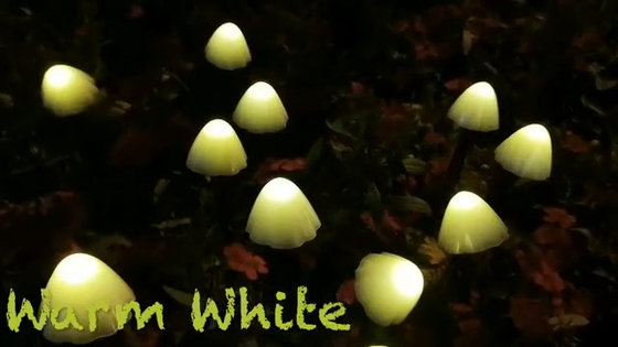 2700K IP55 ไฟ LED เชือกพลังงานแสงอาทิตย์ / เห็ดไฟสวนพลังงานแสงอาทิตย์ตกแต่งงานรื่นเริง